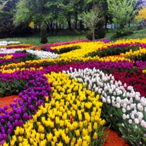 Печерський ландшафтний парк (Співоче поле)