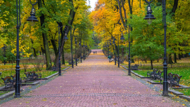 Парк імені Івана Фрака